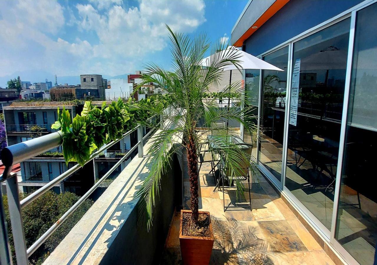 Hotel Boutique Dawat Wtc Meksika Dış mekan fotoğraf